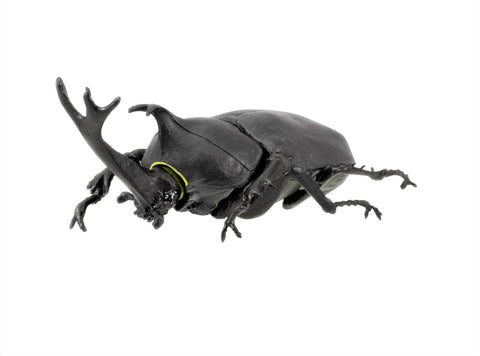 Image of (Good Smile) (Pre-Order) Beetle & Stag beetle Hunter (10pcs/box) - Deposit Only