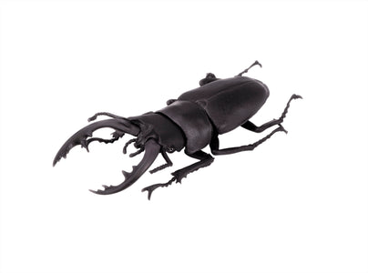 (Good Smile) (Pre-Order) Beetle & Stag beetle Hunter (10pcs/box) - Deposit Only
