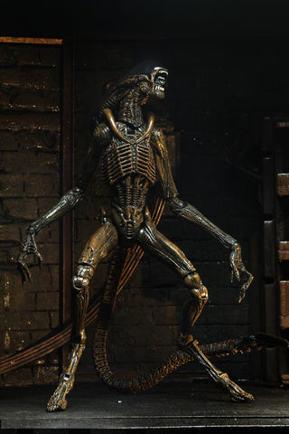 Image of (NECA) Alien 3 - 7" Scale Action Figure - Ultimate Dog Alien