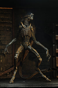 (NECA) Alien 3 - 7" Scale Action Figure - Ultimate Dog Alien