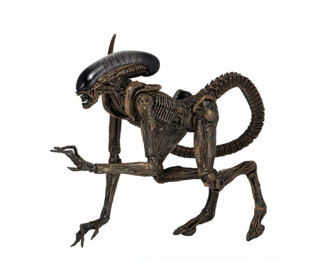 Image of (NECA) Alien 3 - 7" Scale Action Figure - Ultimate Dog Alien