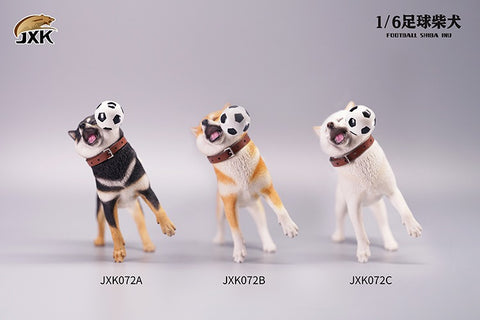Image of (JXK STUDIO) (Pre-Order) Shiba with Football (Ver.A) 1/6 Scale Figure - Deposit Only