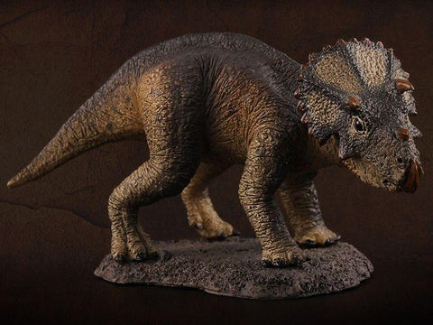 Image of (REBOR) 1/35 Baby Triceratops Museum Class Replica