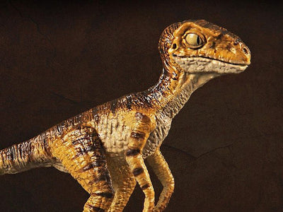 (REBOR) 1/18 Baby Velociraptor Museum Class Replica