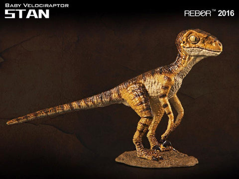 Image of (REBOR) 1/18 Baby Velociraptor Museum Class Replica