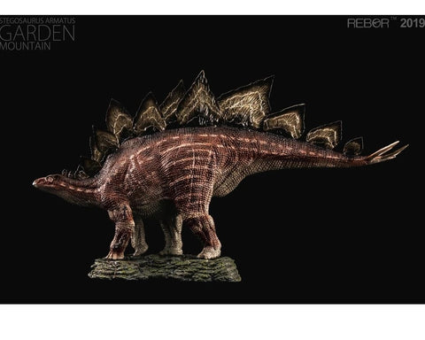 Image of (REBOR) 1:35 Male Stegosaurus Armatus Museum Class Replica (GARDEN MOUNTAIN)