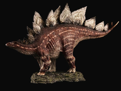 (REBOR) 1:35 Male Stegosaurus Armatus Museum Class Replica (GARDEN MOUNTAIN)