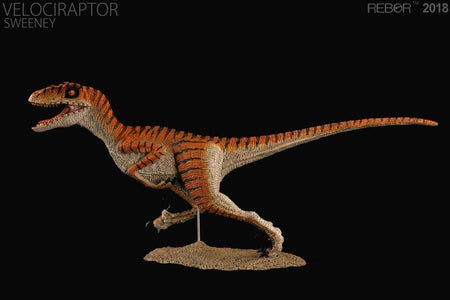 (REBOR) 1/18 scale Velociraptor Sweeney