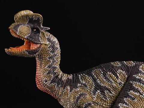 Image of (REBOR) Rebor Dilophosaurus wetherilli"Oasis" 1/35 Scale