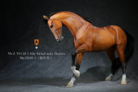 (Mr.Z) (PRE-ORDER) MRZ048-1H 1/6 48 Akhal-teke Hourses (Only Hourses)(Brown red) - DEPOSIT ONLY