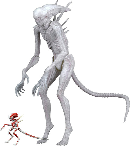 Image of NECA Alien: Covenant - 7" Scale Action Figure - Neomorph