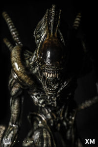 (XM Studios) (Pre-Order) Alien Warrior
