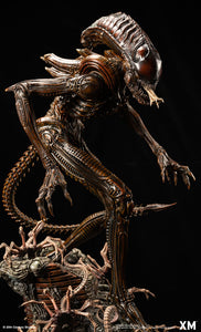 (XM Studios) (Pre-Order) Alien Hive-Warrior Statue - Deposit Only