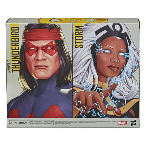 Image of (Hasbro) (Pre-Order) MARVEL LEGENDS SERIES X-MEN 6-INCH STORM AND MARVELS THUNDERBIRD Figure 2-Pack - Deposit Only